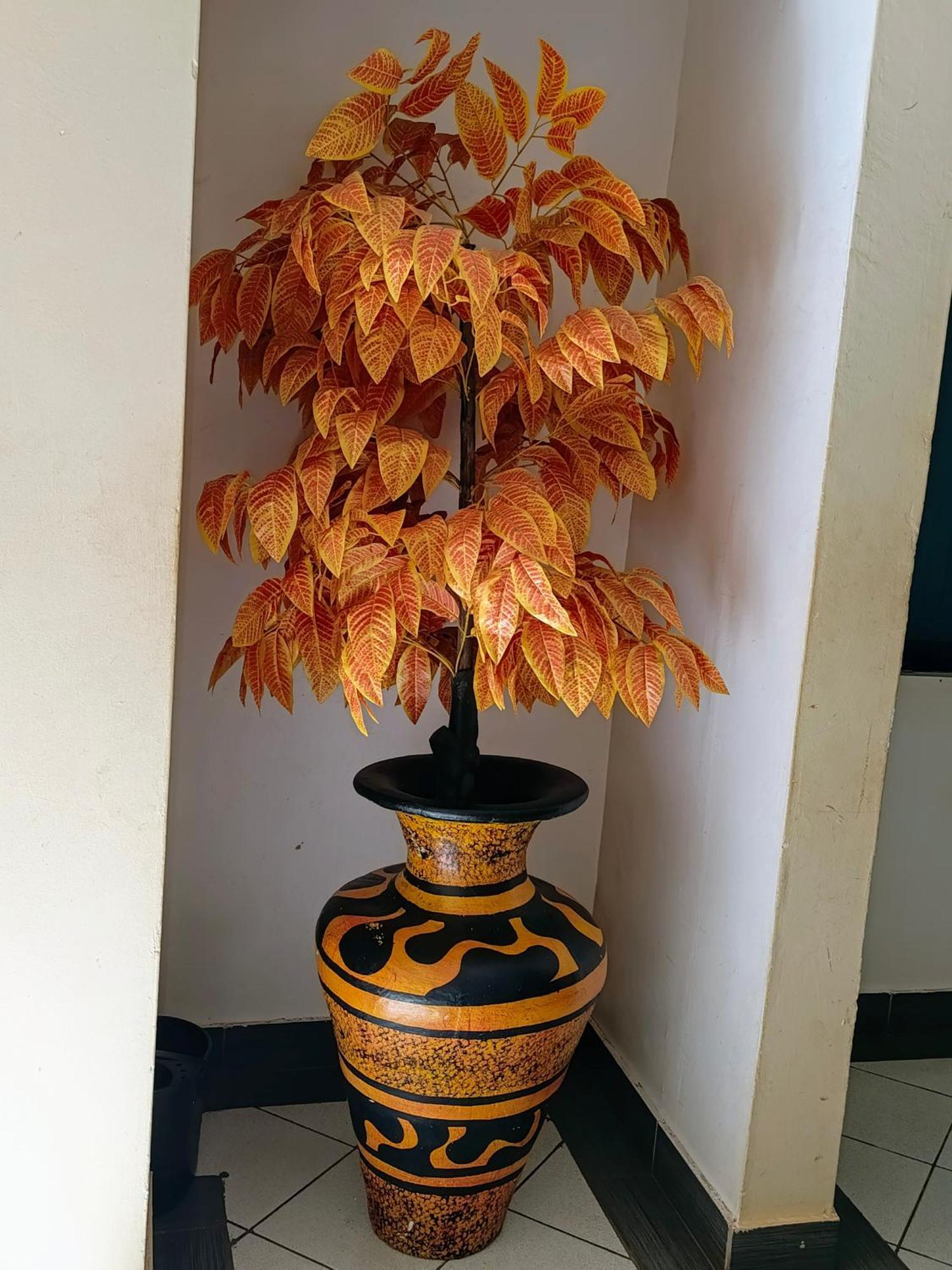 Meru Paramount المظهر الخارجي الصورة